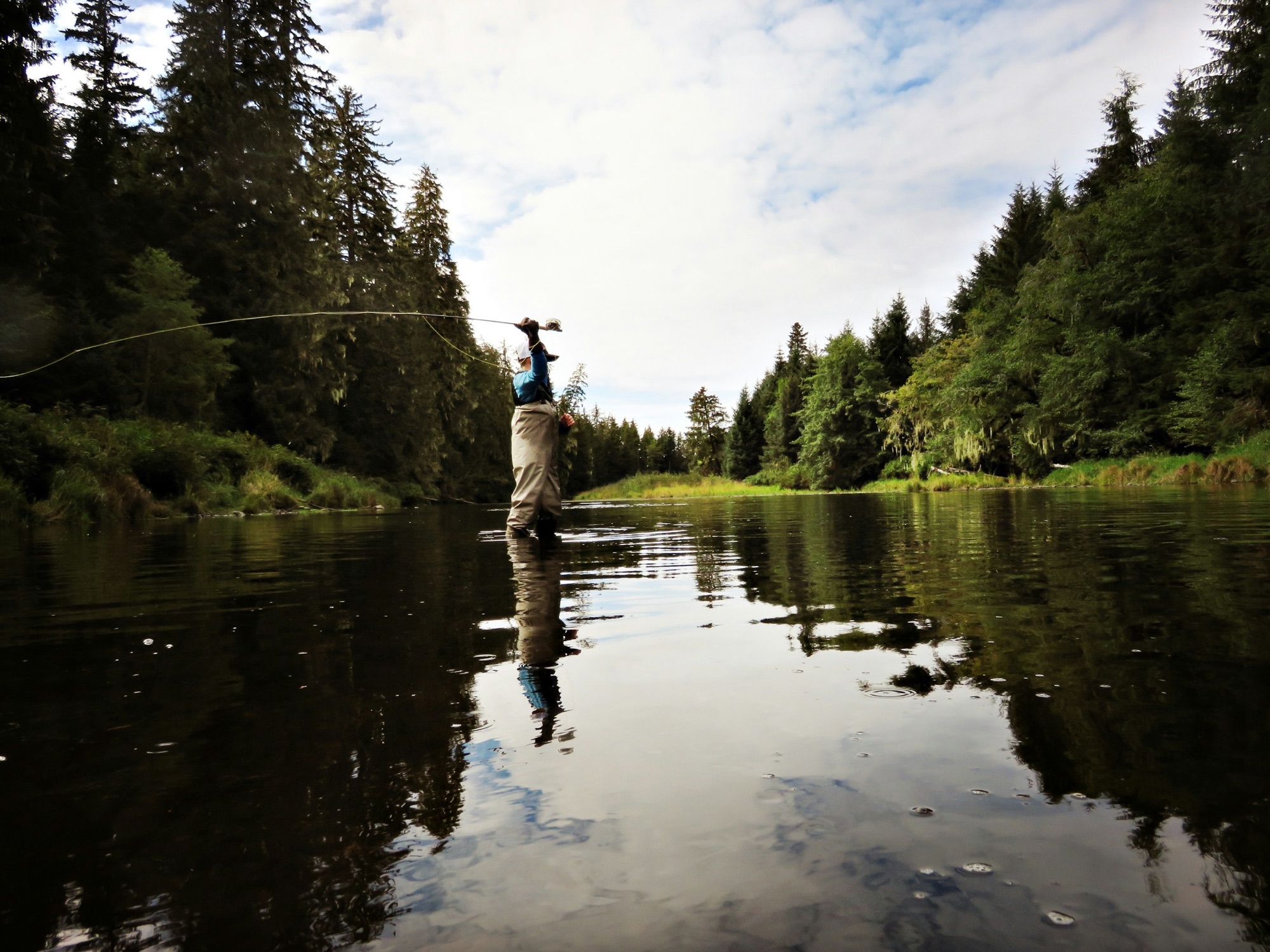 A fly angler casting on a calm forest-lined river, the line arcing over still water with evergreen reflections